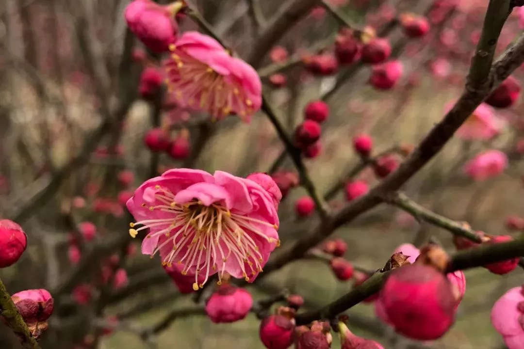 ag真人注册平台(中国游)官方网站