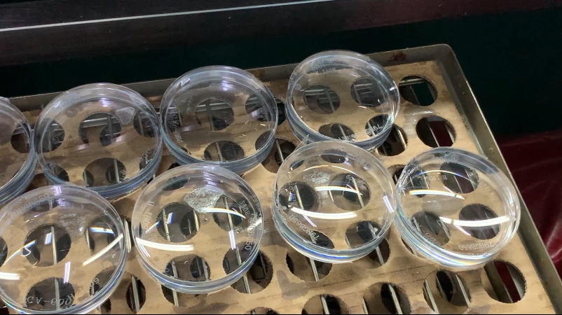 ag真人注册平台(中国游)官方网站